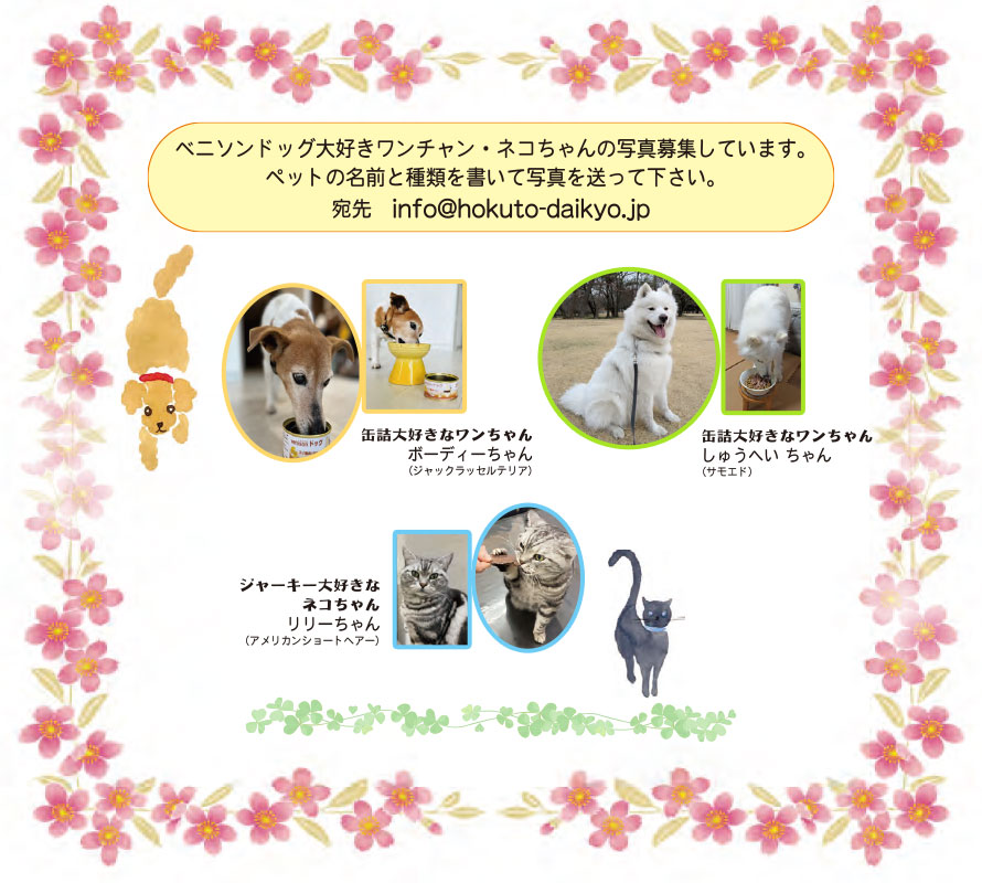 ベニソンドッグ大好きワンちゃん、ネコちゃんの写真を募集しています。