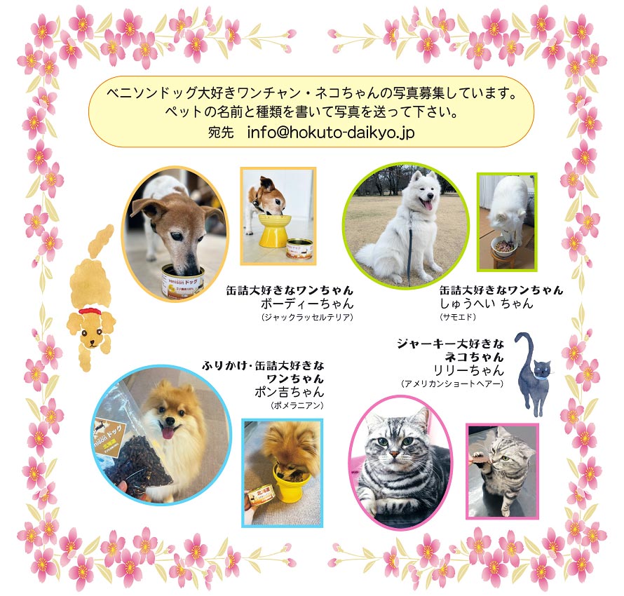 ベニソンドッグ大好きワンちゃん、ネコちゃんの写真を募集しています。